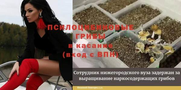 бутират Алексин